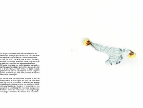 planillo11