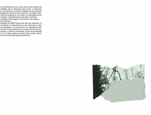 planillo18