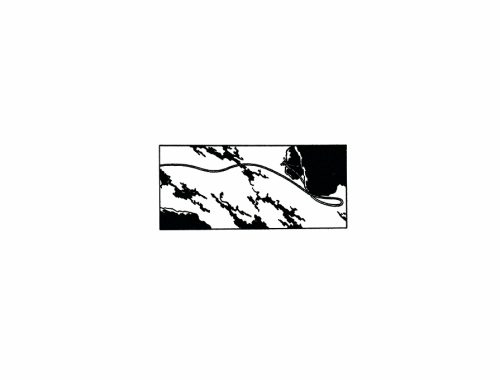 planillo28