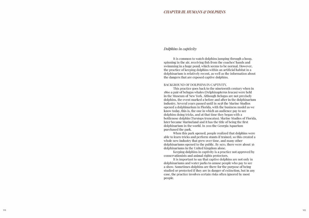 publicacion-def-paginas23