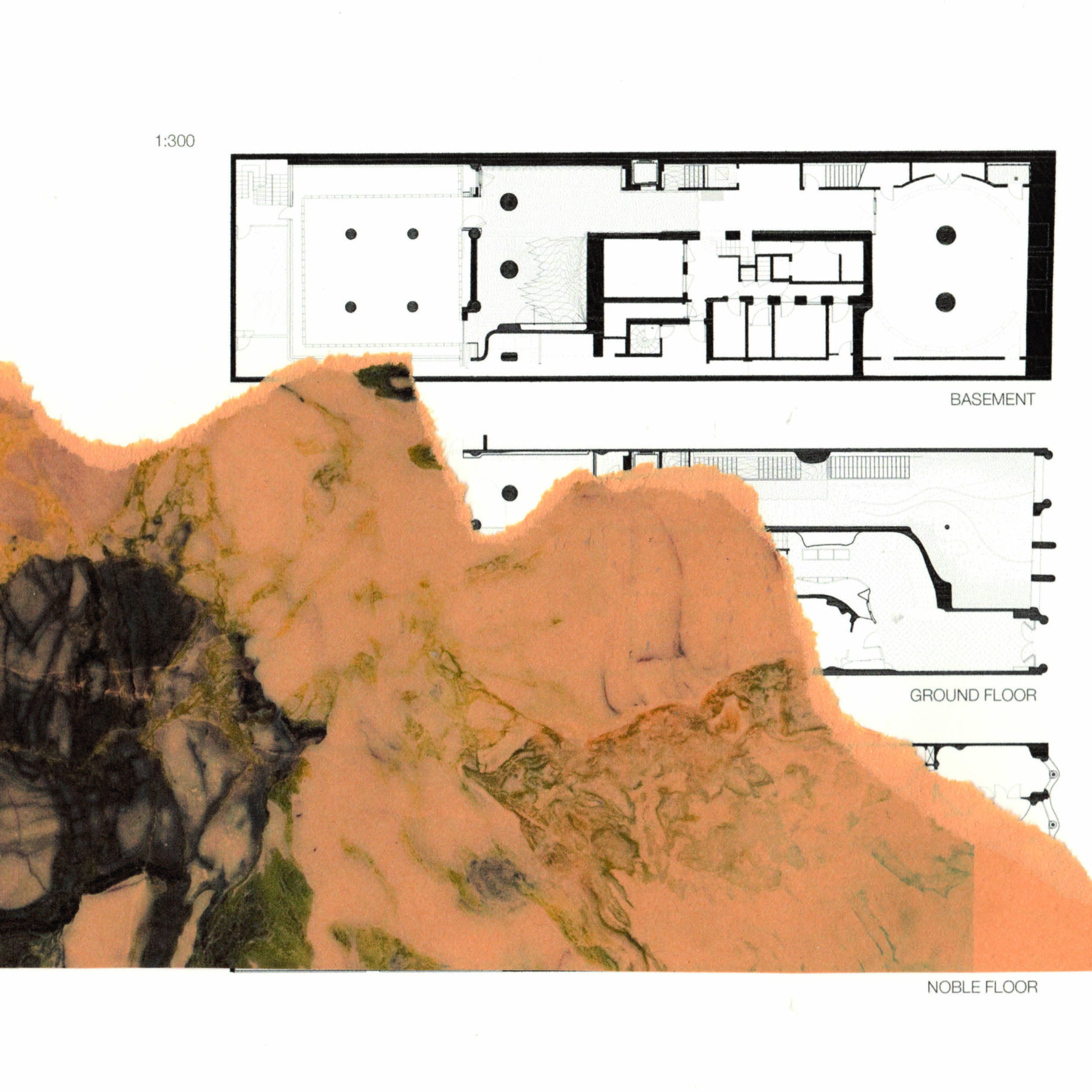 planillo10