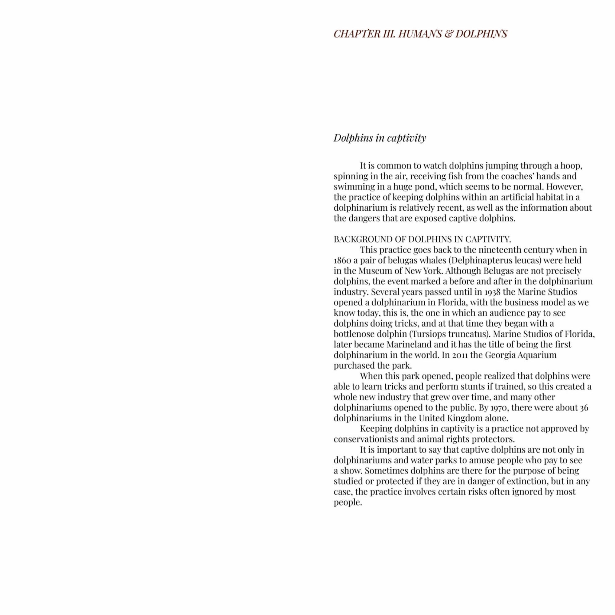 publicacion-def-paginas23